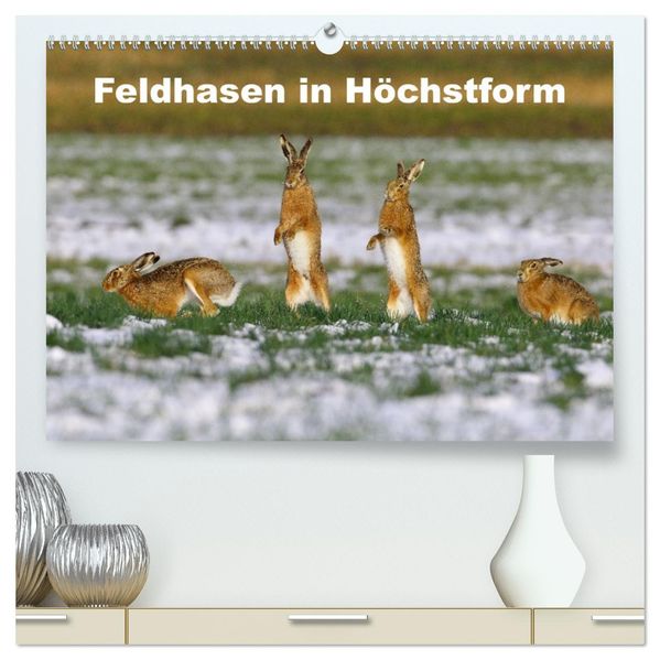 Feldhasen in Höchstform (hochwertiger Premium Wandkalender 2027 DIN A2 quer) Kunstdruck in Hochglanz