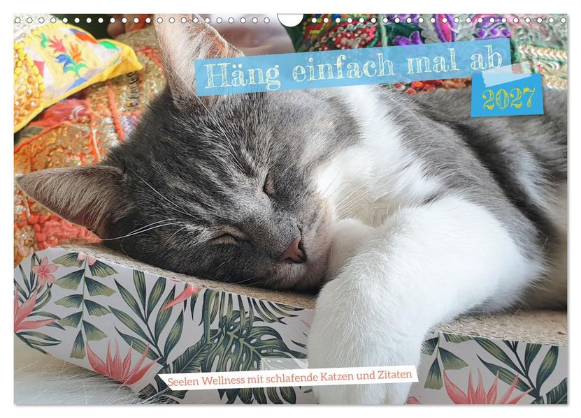 Häng einfach mal ab (Wandkalender 2027 DIN A3 quer) CALVENDO Monatskalender
