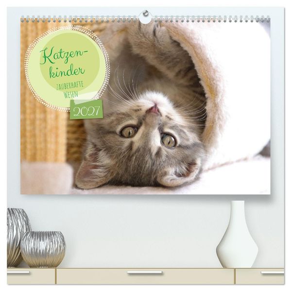 Katzenkinder - zauberhafte Wesen (hochwertiger Premium Wandkalender 2027 DIN A2 quer) Kunstdruck in Hochglanz