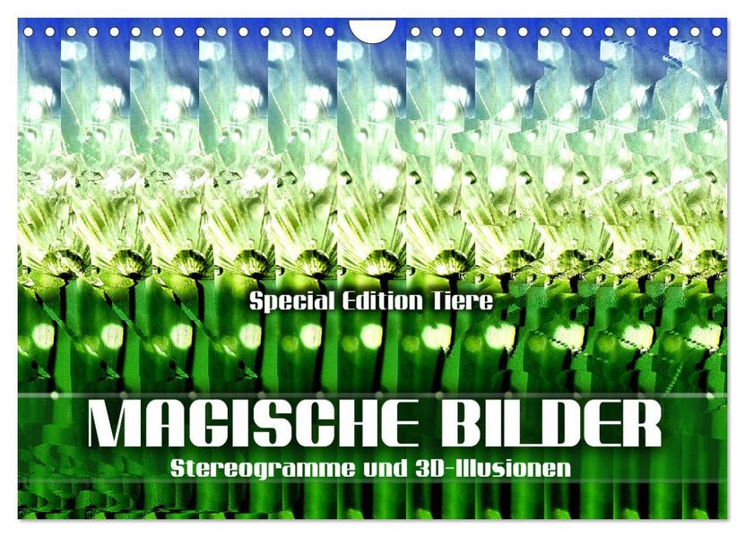 Magische Bilder - Stereogramme und 3D-Illusionen (Wandkalender 2027 DIN A4 quer) CALVENDO Monatskalender