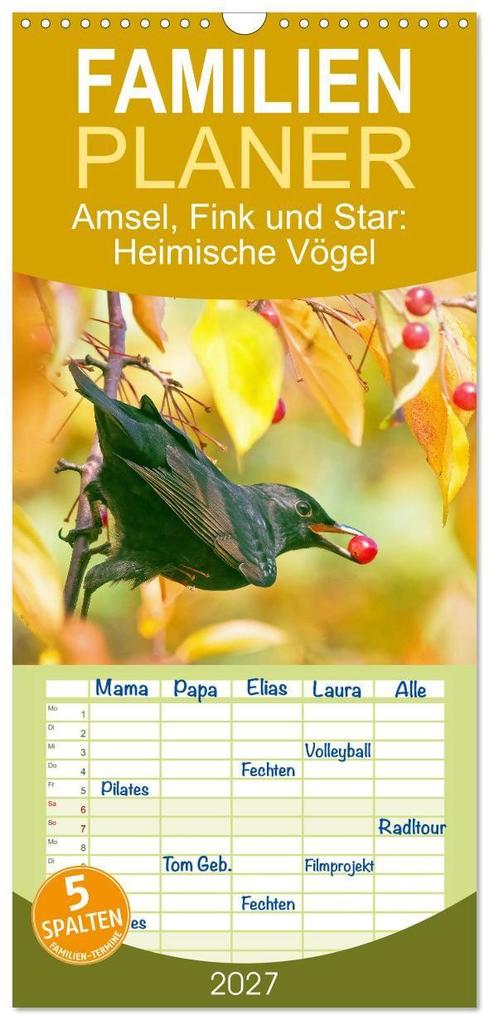 Familienplaner 2027 - Amsel Fink und Star: Heimische Vögel mit 5 Spalten (Wandkalender 21 x 45 cm) CALVENDO