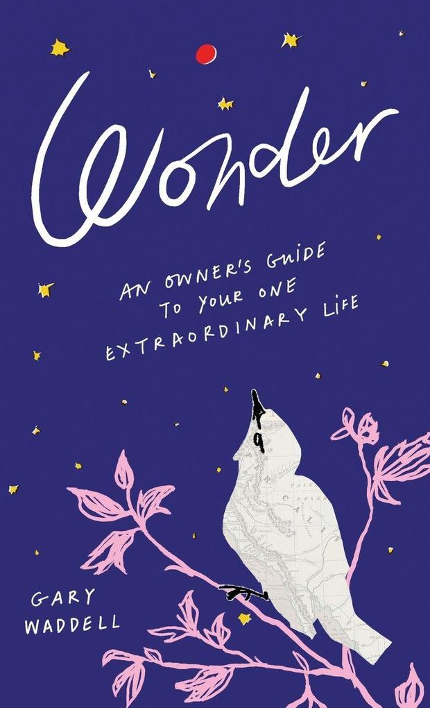 Wonder