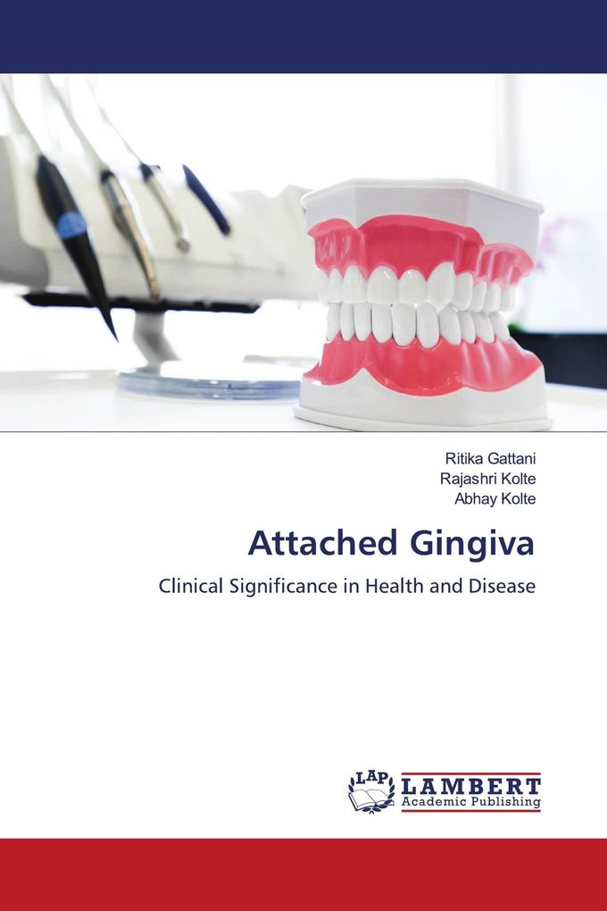 Attached Gingiva