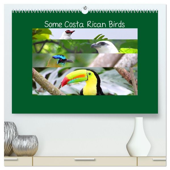 Some Costa Rican Birds (High Quality Premium Wall Calendar 2027 DIN A2 landscape)CALVENDO 12 Month Wall Calendar