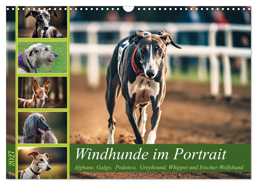 Windhunde im Portrait (Wandkalender 2027 DIN A3 quer) CALVENDO Monatskalender