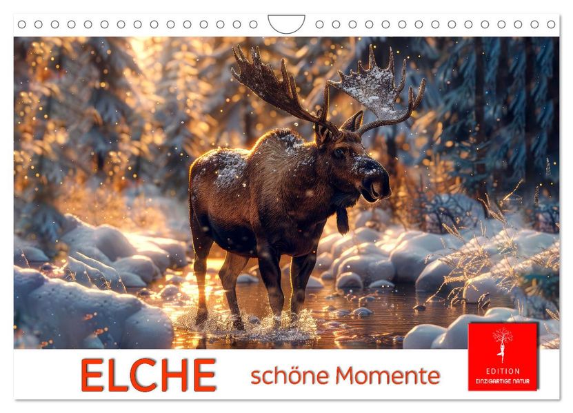 Elche - schöne Momente (Wandkalender 2027 DIN A4 quer) CALVENDO Monatskalender