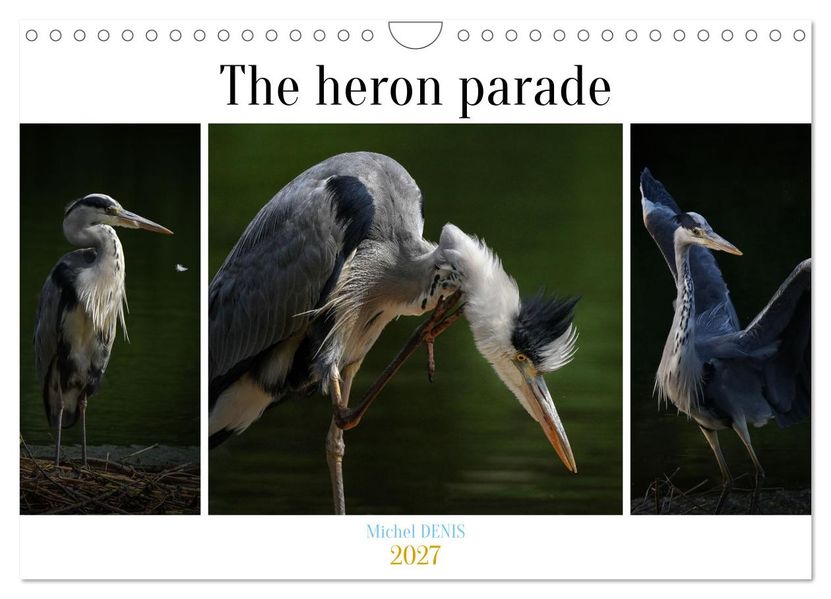 The heron parade (Wall Calendar 2027 DIN A4 landscape) CALVENDO 12 Month Wall Calendar