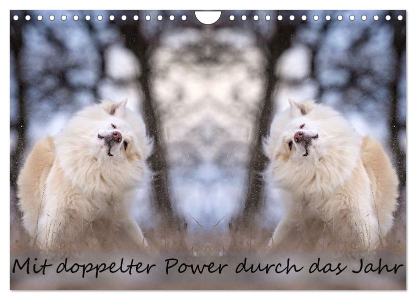 Mit doppelter Power durch das Jahr (Wandkalender 2027 DIN A4 quer) CALVENDO Monatskalender