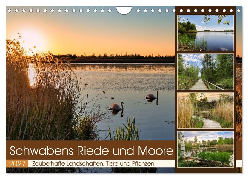 Schwabens Riede und Moore (Wandkalender 2027 DIN A4 quer) CALVENDO Monatskalender