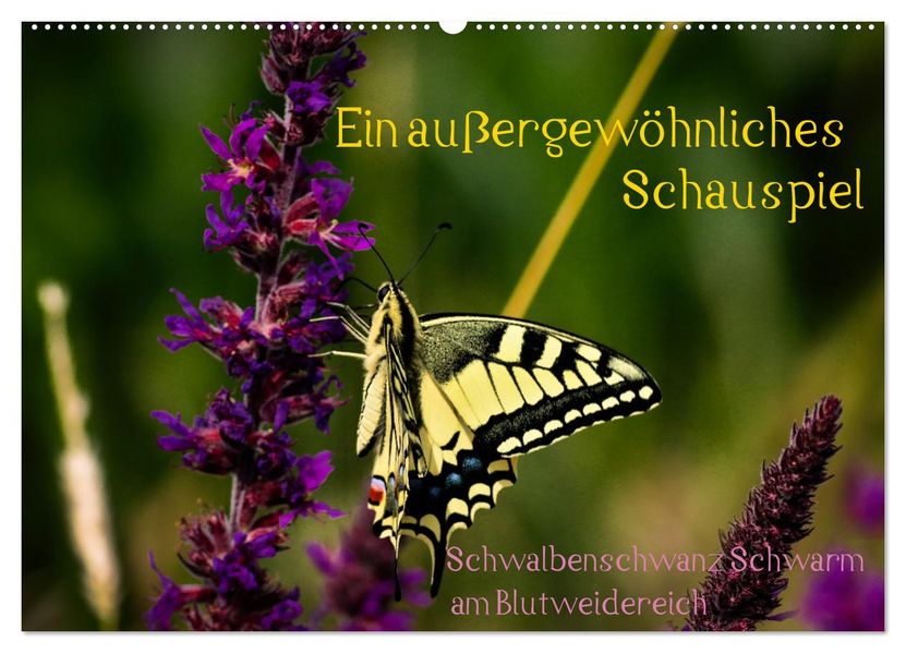 Ein außergewöhnliches Schauspiel (Wandkalender 2027 DIN A2 quer) CALVENDO Monatskalender