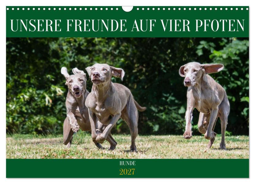 Unsere Freunde auf vier Pfoten - Hunde (Wandkalender 2027 DIN A3 quer) CALVENDO Monatskalender