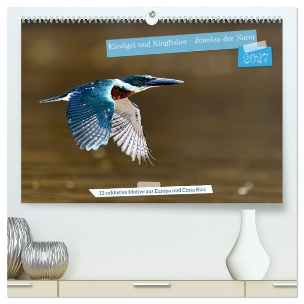 Eisvögel und Kingfisher - Juwelen der Natur (hochwertiger Premium Wandkalender 2027 DIN A2 quer) Kunstdruck in Hochglanz