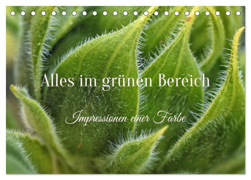 Alles im grünen Bereich (Tischkalender 2027 DIN A5 quer) CALVENDO Monatskalender
