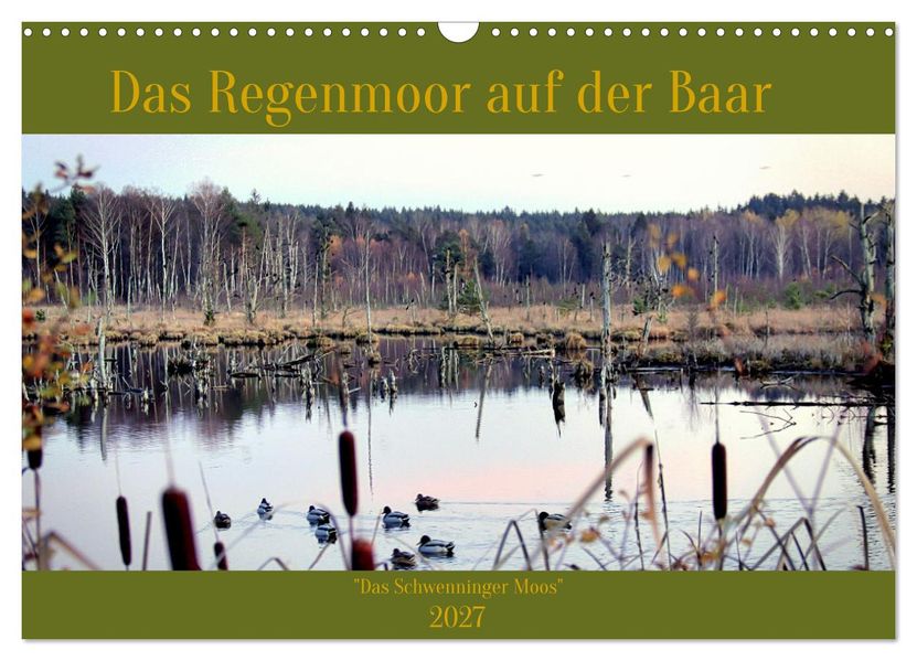 Das Regenmoor auf der Baar (Wandkalender 2027 DIN A3 quer) CALVENDO Monatskalender