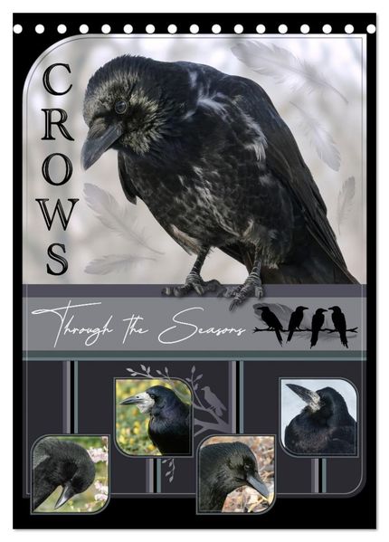 Crows - Through the Seasons (Desk Calendar 2027 DIN A5 portrait) CALVENDO 12 Month DeskCalendar