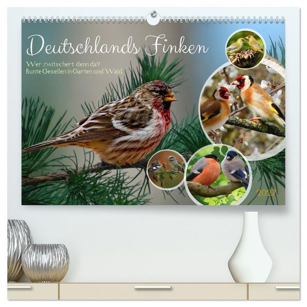 Deutschlands Finken (hochwertiger Premium Wandkalender 2027 DIN A2 quer) Kunstdruck in Hochglanz