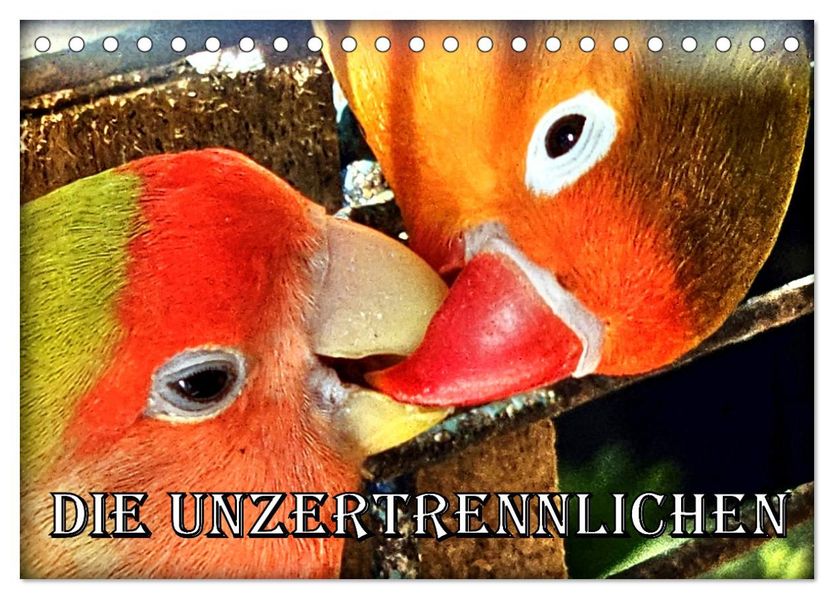Die Unzertrennlichen (Tischkalender 2027 DIN A5 quer) CALVENDO Monatskalender