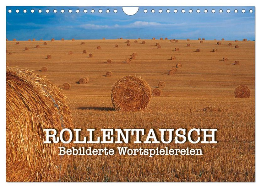 Rollentausch - Bebilderte Wortspielereien (Wandkalender 2027 DIN A4 quer) CALVENDO Monatskalender