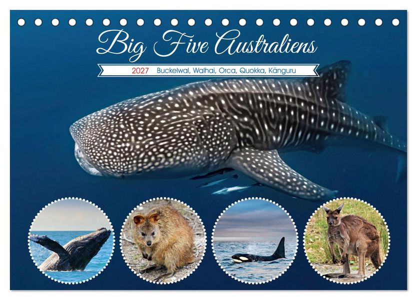 Big Five Australiens Buckelwal Walhai Orca QuokkaKänguru (Tischkalender 2027 DIN A5 quer) CALVENDO Monatskalender