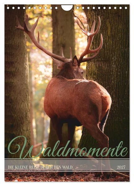 Waldmomente (Wandkalender 2027 DIN A4 hoch) CALVENDO Monatskalender