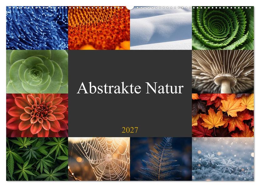 Abstrakte Natur (Wandkalender 2027 DIN A2 quer) CALVENDO Monatskalender