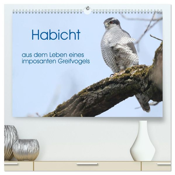 Habicht - aus dem Leben eines imposanten Greifvogels (hochwertiger Premium Wandkalender 2027 DIN A2 quer) Kunstdruck in Hochglanz