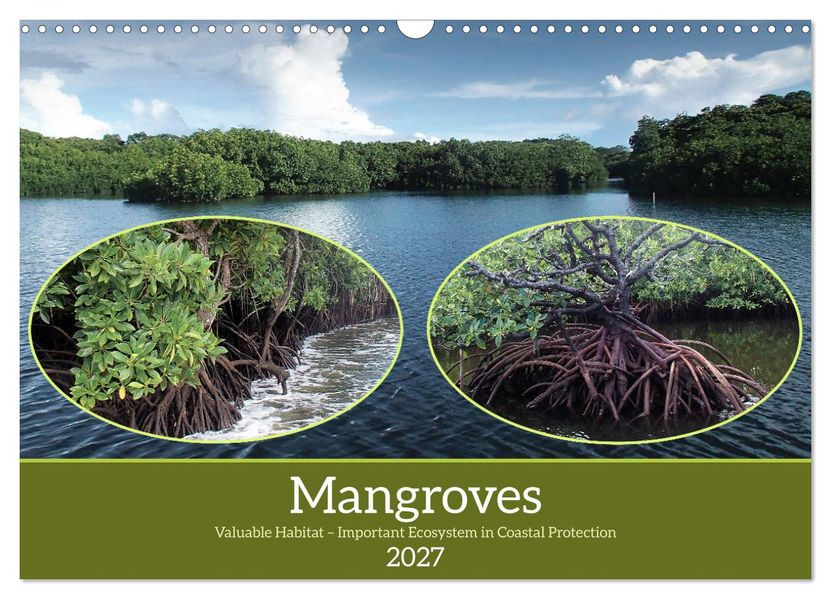 Mangroves - Valuable Habitat (Wall Calendar 2027 DIN A3 landscape) CALVENDO 12 Month Wall Calendar