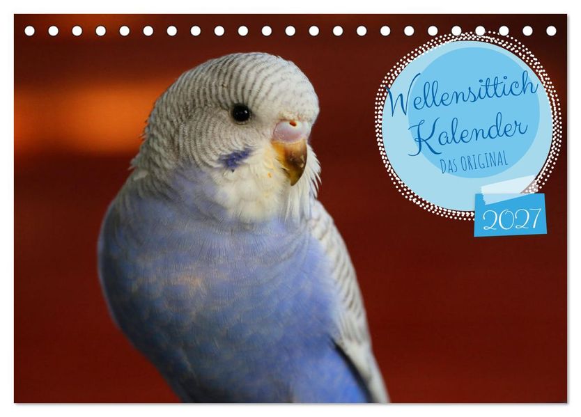 Wellensittichkalender! - Das Original (Tischkalender 2027 DIN A5 quer) CALVENDO Monatskalender