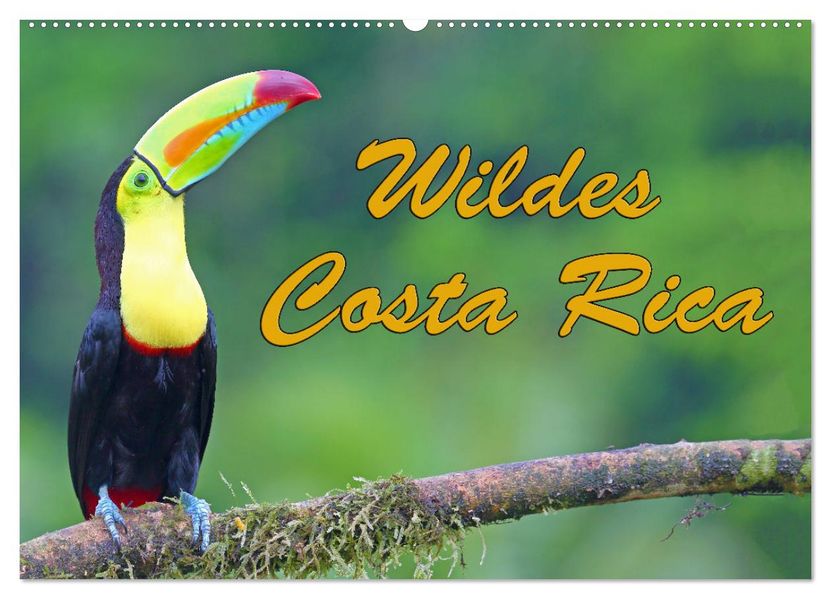 Wildes Costa Rica (Wandkalender 2027 DIN A2 quer) CALVENDO Monatskalender