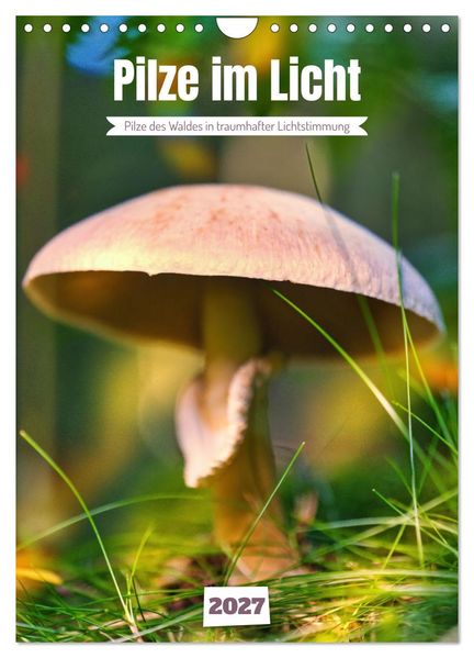 Pilze im Licht (Wandkalender 2027 DIN A4 hoch) CALVENDO Monatskalender