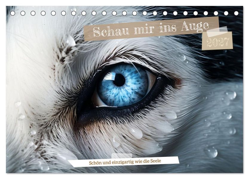 Schau mir ins Auge (Tischkalender 2027 DIN A5 quer) CALVENDO Monatskalender