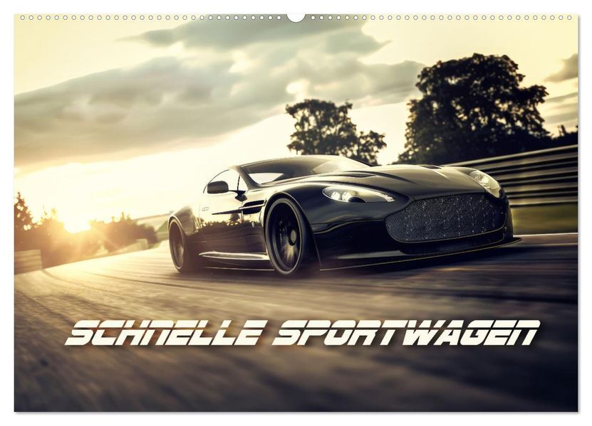 Schnelle Sportwagen (Wandkalender 2027 DIN A2 quer) CALVENDO Monatskalender