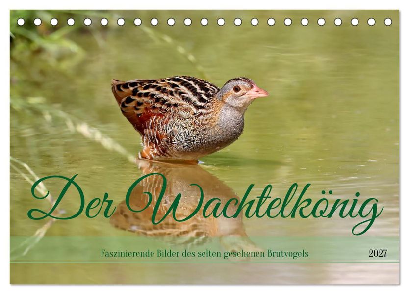 Der Wachtelkönig (Tischkalender 2027 DIN A5 quer) CALVENDO Monatskalender