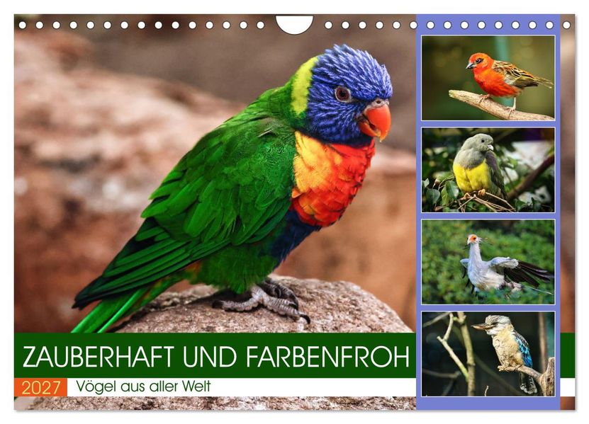 Zauberhaft und farbenfroh (Wandkalender 2027 DIN A4 quer) CALVENDO Monatskalender