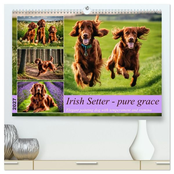 Irish Setter - pure grace (High Quality Premium Wall Calendar 2027 DIN A2 landscape)CALVENDO 12 Month Wall Calendar