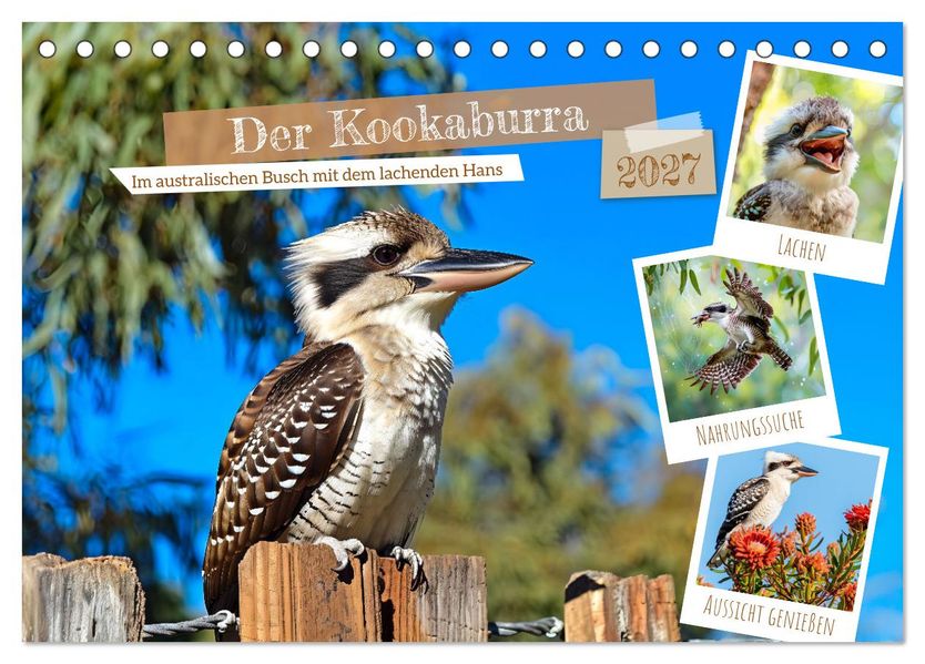 Der Kookaburra - Im australischen Busch mit dem lachenden Hans (Tischkalender 2027 DIN A5 quer) CALVENDO Monatskalender