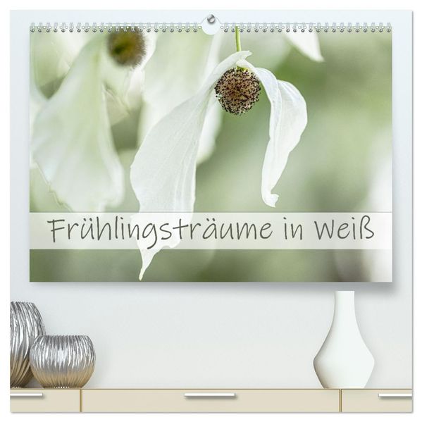 Frühlingsträume in Weiß (hochwertiger Premium Wandkalender 2027 DIN A2 quer) Kunstdruck in Hochglanz