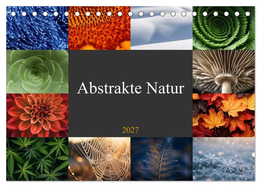 Abstrakte Natur (Tischkalender 2027 DIN A5 quer) CALVENDO Monatskalender