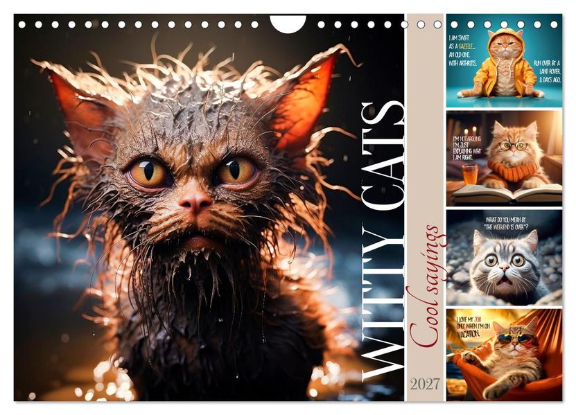 WITTY CATS Cool sayings (Wall Calendar 2027 DIN A4 landscape) CALVENDO 12 Month Wall Calendar