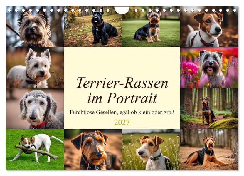 Terrier-Rassen im Portrait (Wandkalender 2027 DIN A4 quer) CALVENDO Monatskalender