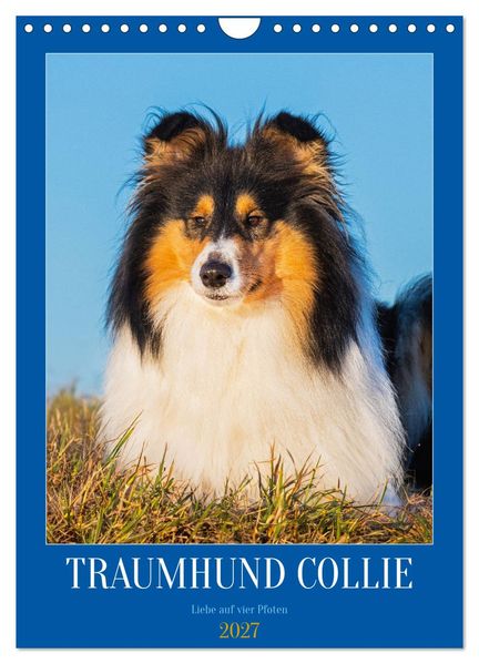 Traumhund Collie - Liebe auf vier Pfoten (Wandkalender 2027 DIN A4 hoch) CALVENDO Monatskalender