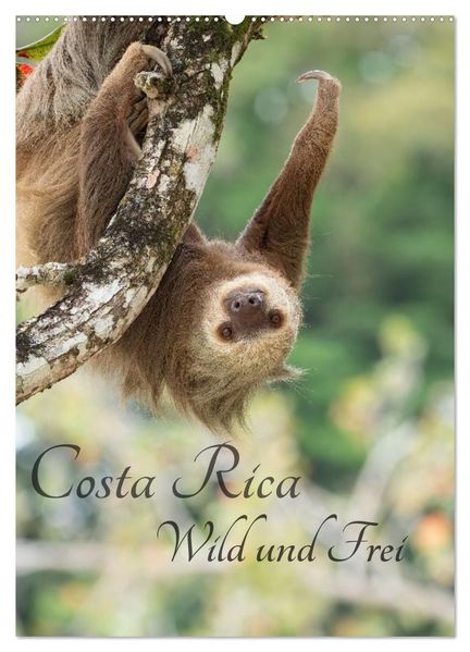 Costa Rica Wild und Frei (Wandkalender 2027 DIN A2 hoch) CALVENDO Monatskalender