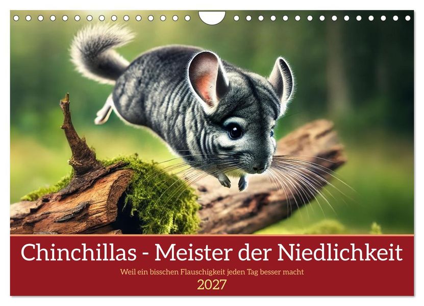 Chinchillas - Meister der Niedlichkeit (Wandkalender 2027 DIN A4 quer) CALVENDO Monatskalender