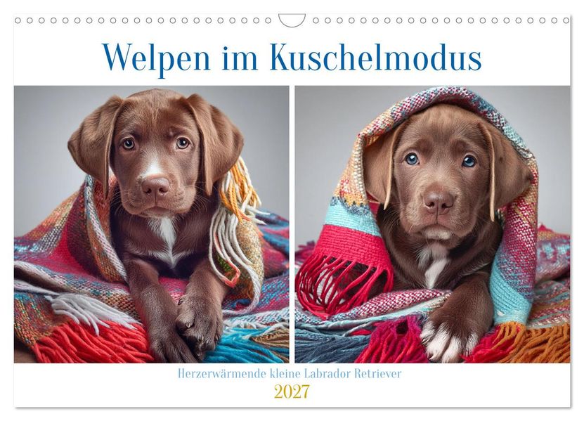 Welpen im Kuschelmodus - Herzerwärmende kleine Labrador Retriever (Wandkalender 2027 DIN A3 quer) CALVENDO Monatskalender