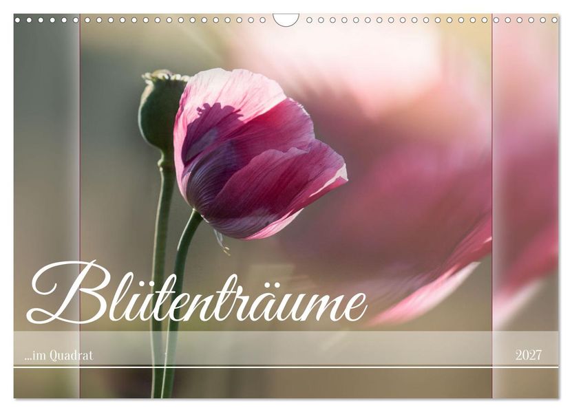 Blütenträume - im Quadrat (Wandkalender 2027 DIN A3 quer) CALVENDO Monatskalender