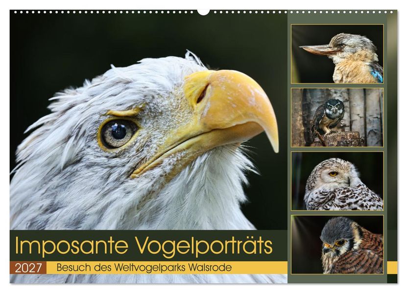 Imposante Vogelporträts (Wandkalender 2027 DIN A2 quer) CALVENDO Monatskalender