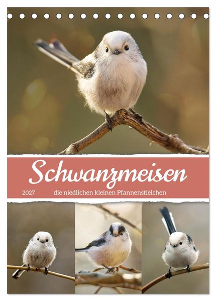 Schwanzmeisen die niedlichen kleinen Pfannenstielchen (Tischkalender 2027 DIN A5 hoch) CALVENDO Monatskalender