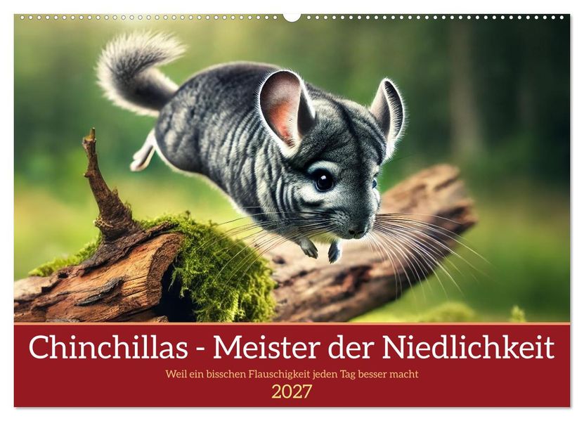 Chinchillas - Meister der Niedlichkeit (Wandkalender 2027 DIN A2 quer) CALVENDO Monatskalender