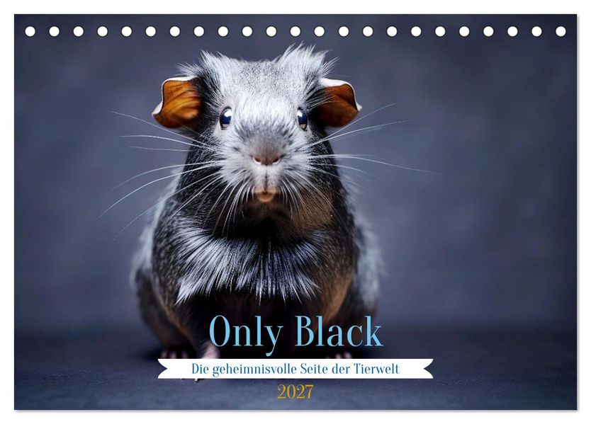Only Black (Tischkalender 2027 DIN A5 quer) CALVENDO Monatskalender