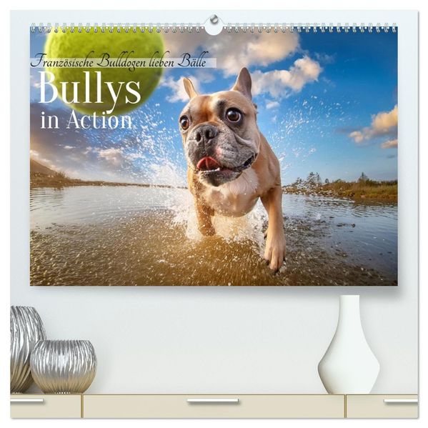 Bullys in Action - Französische Bulldoggen lieben Bälle (hochwertiger Premium Wandkalender 2027 DIN A2 quer) Kunstdruck in Hochglanz